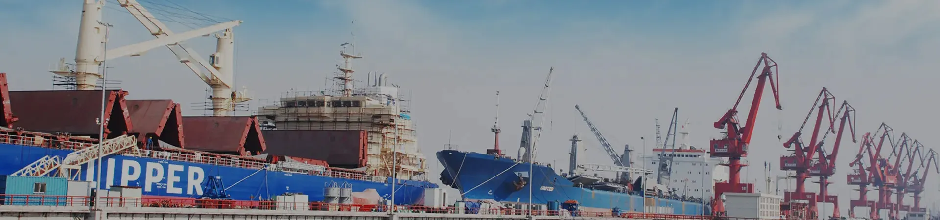 Panhua Group Co., Ltd.